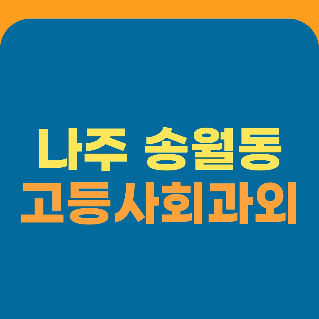 나주 송월동 고등사회과외