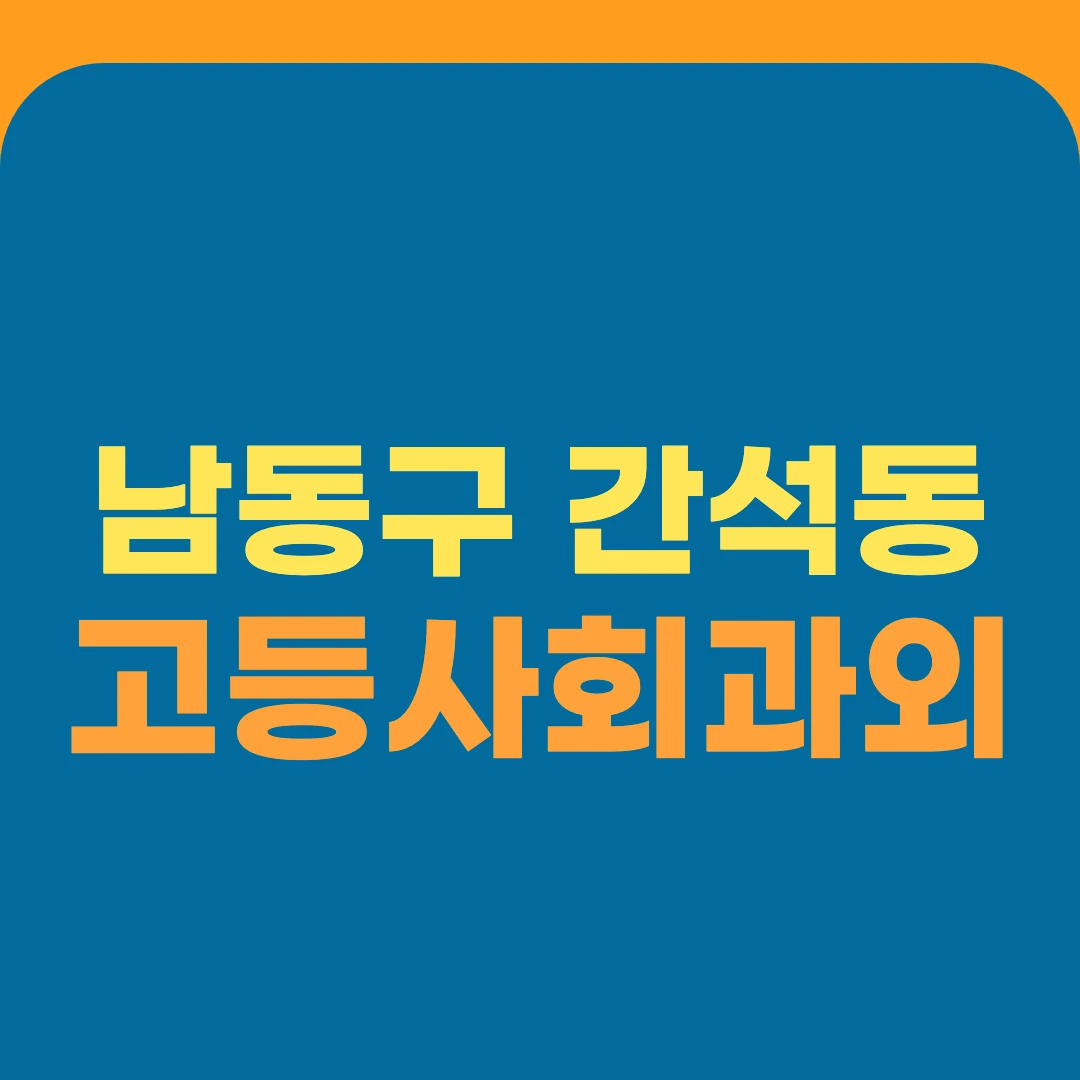 남동구 간석동 고등사회과외