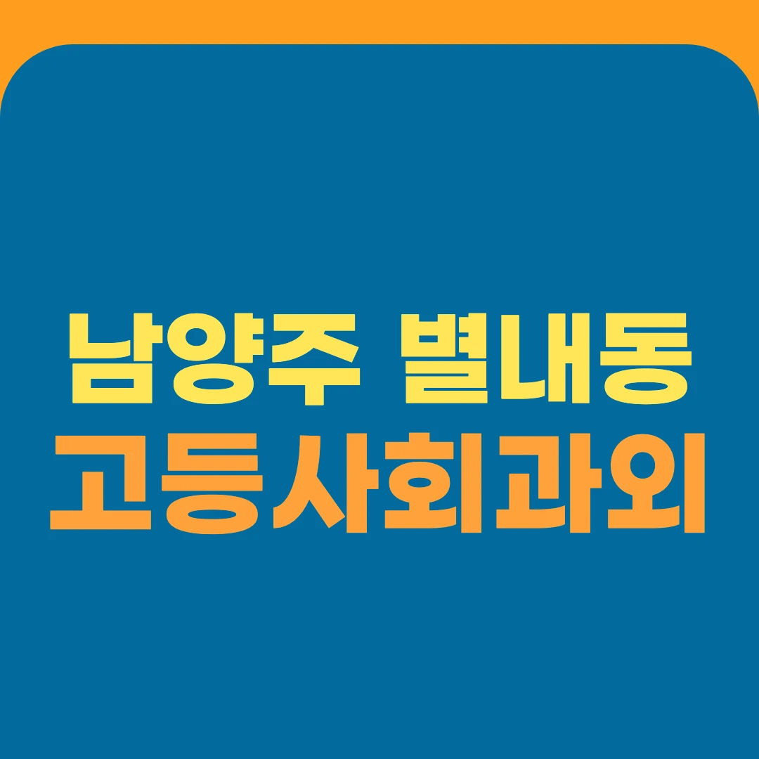 남양주 별내동 고등사회과외