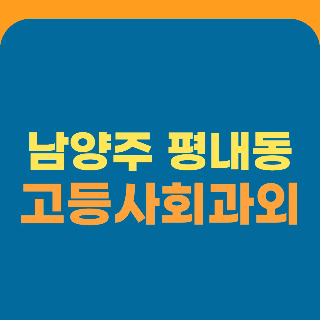 남양주 평내동 고등사회과외