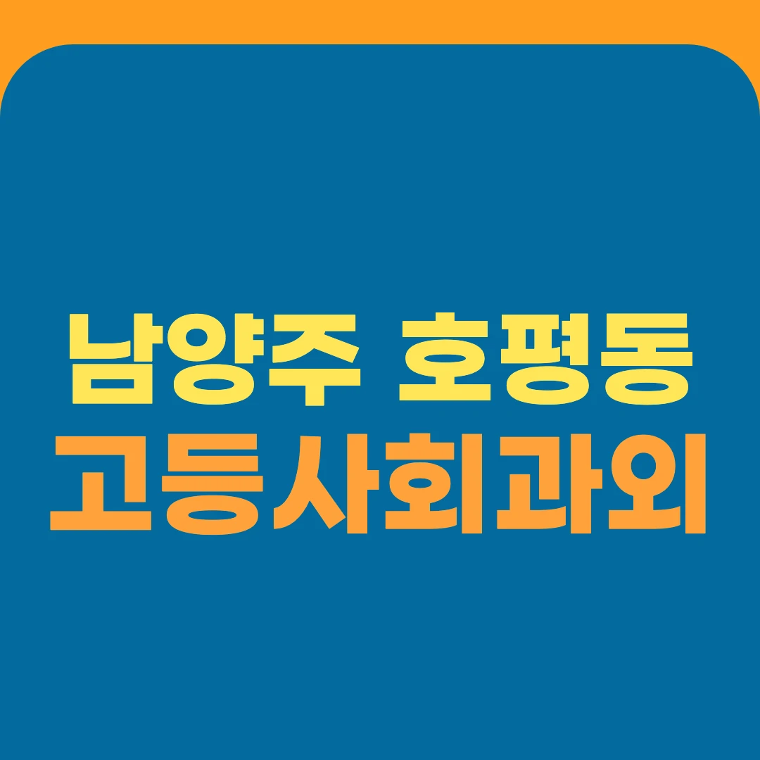 남양주 호평동 고등사회과외