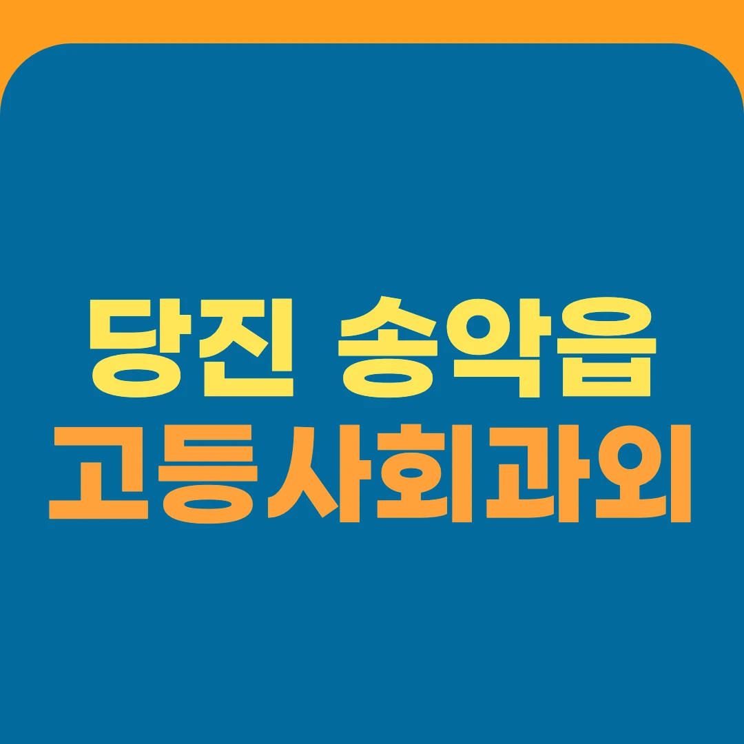 당진 송악읍 고등사회과외