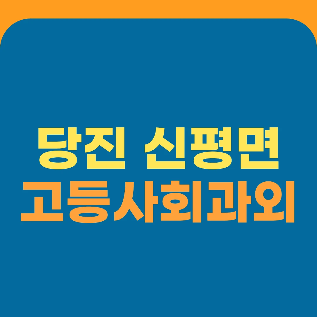 당진 신평면 고등사회과외