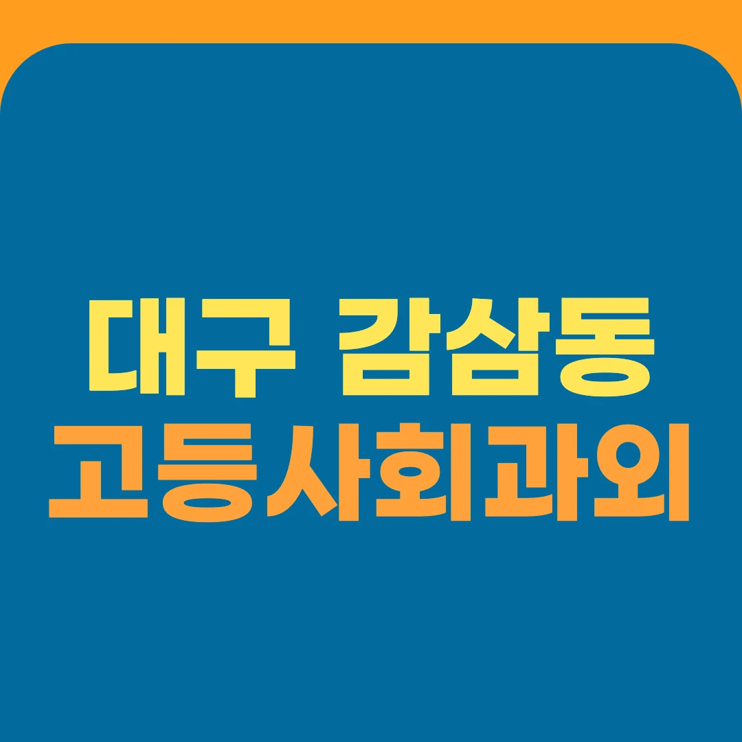 대구 감삼동 고등사회과외