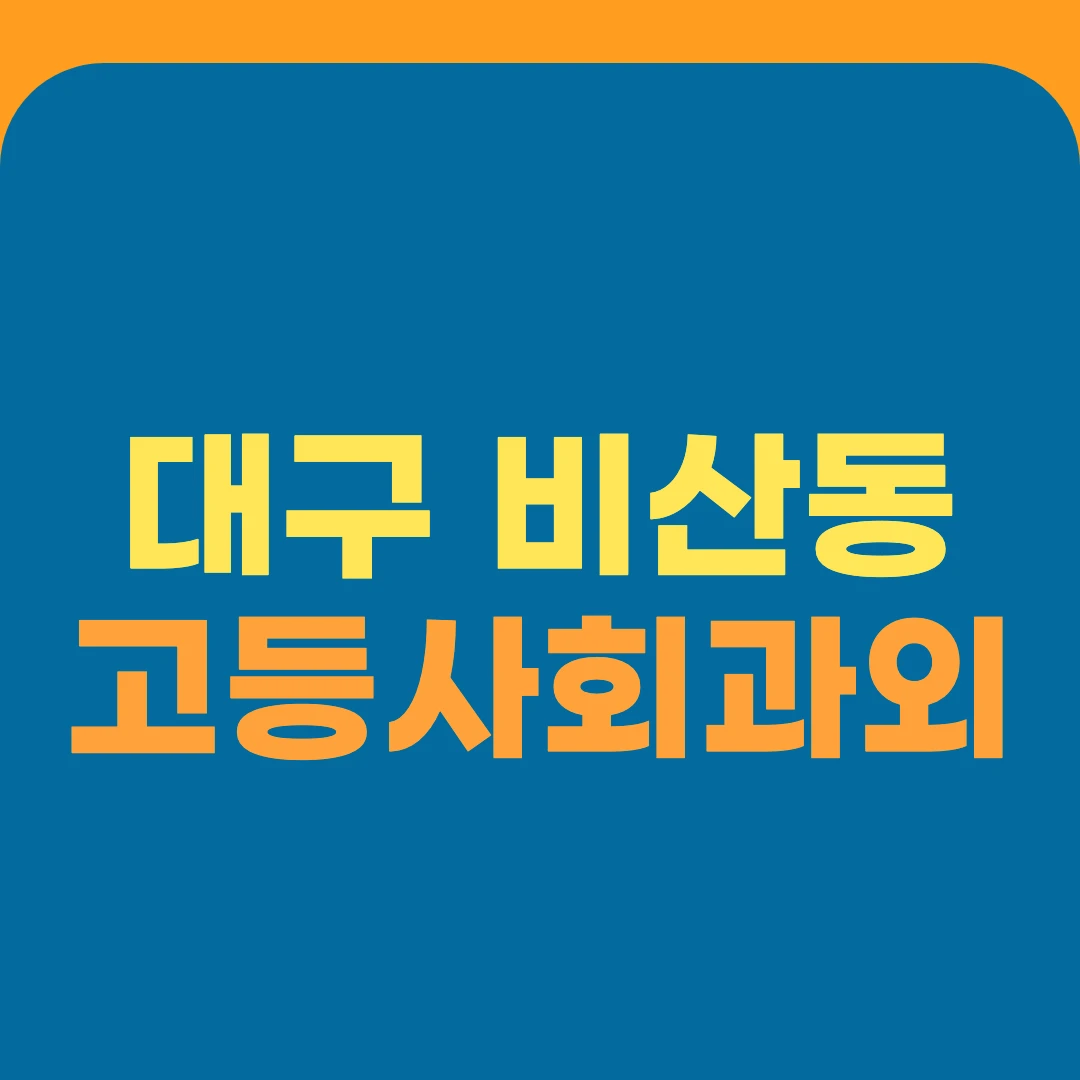 대구 비산동 고등사회과외