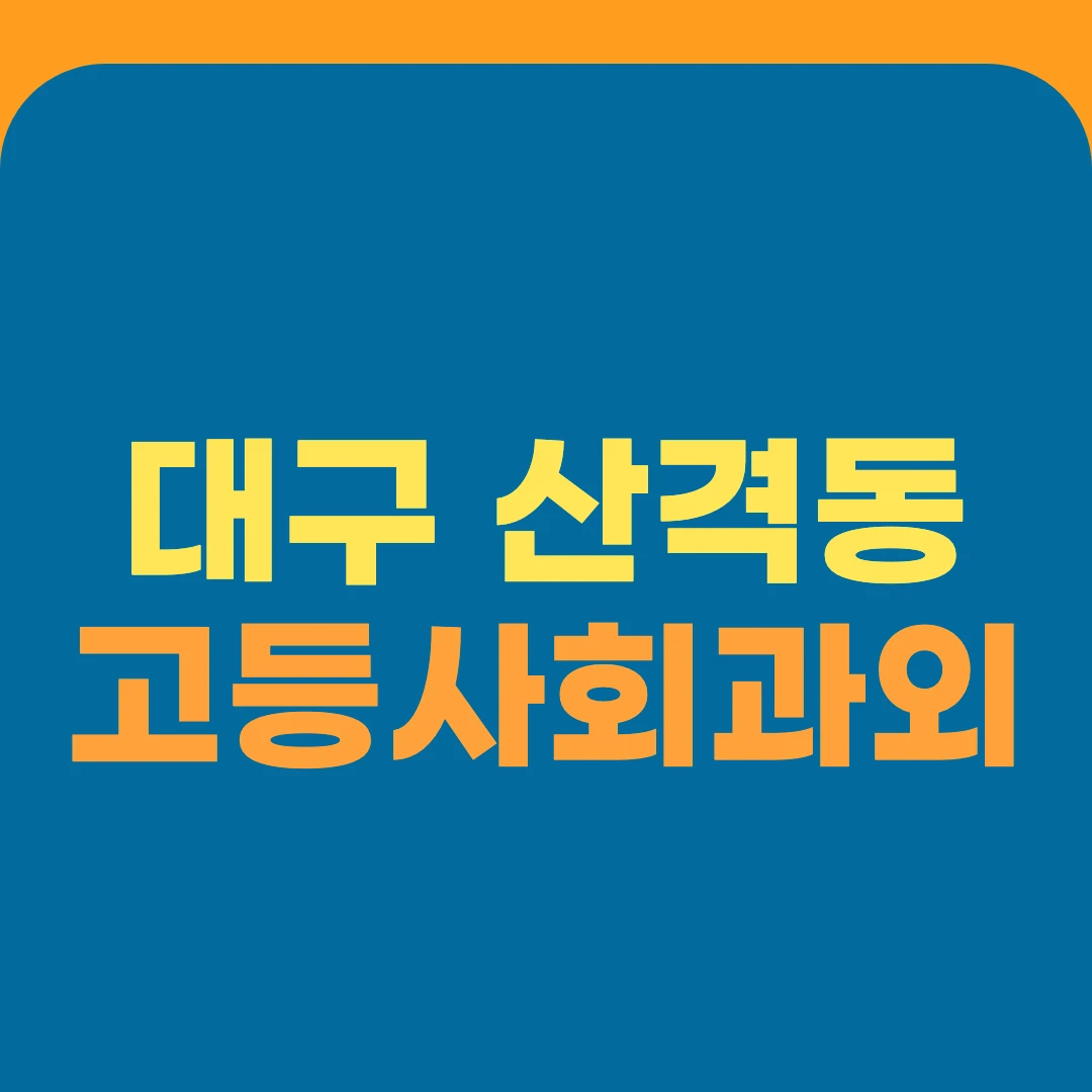 대구 산격동 고등사회과외