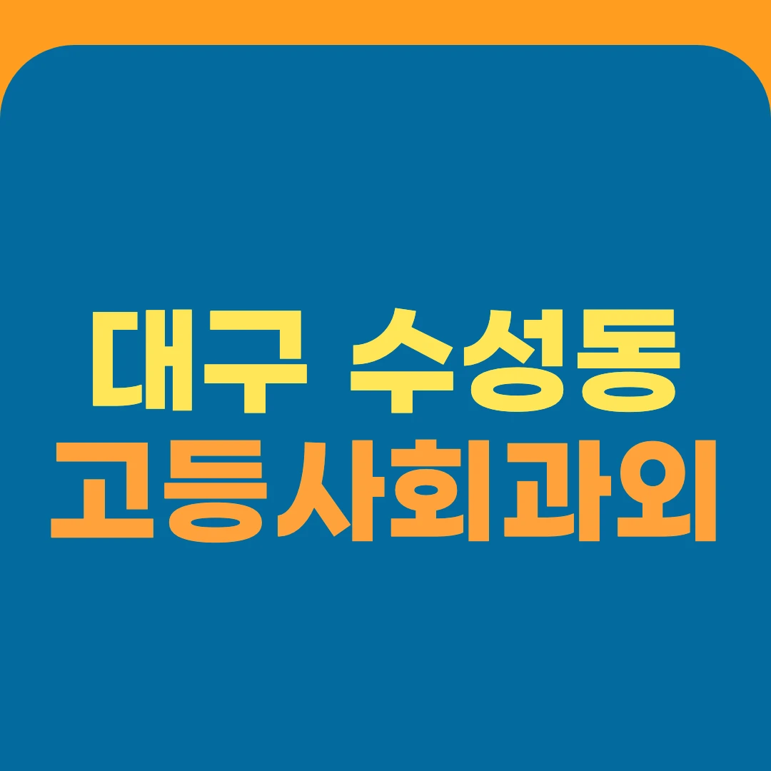 대구 수성동 고등사회과외
