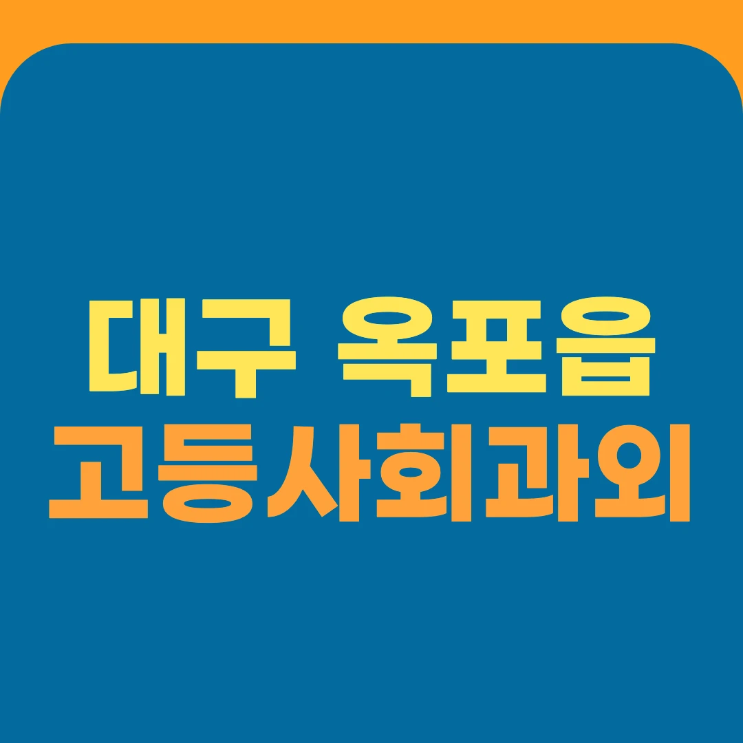 대구 옥포읍 고등사회과외