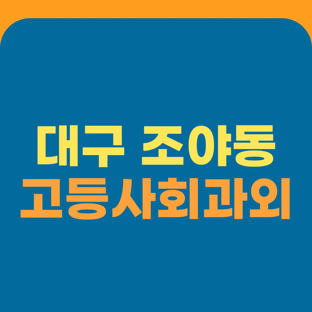 대구 조야동 고등사회과외