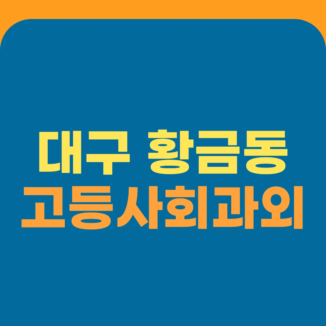 대구 황금동 고등사회과외
