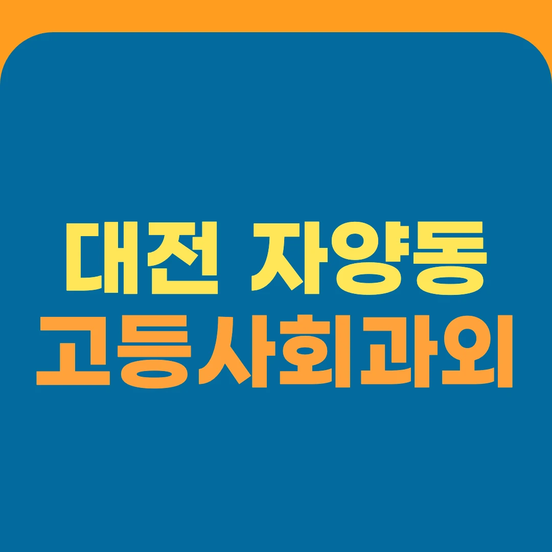 대전 자양동 고등사회과외