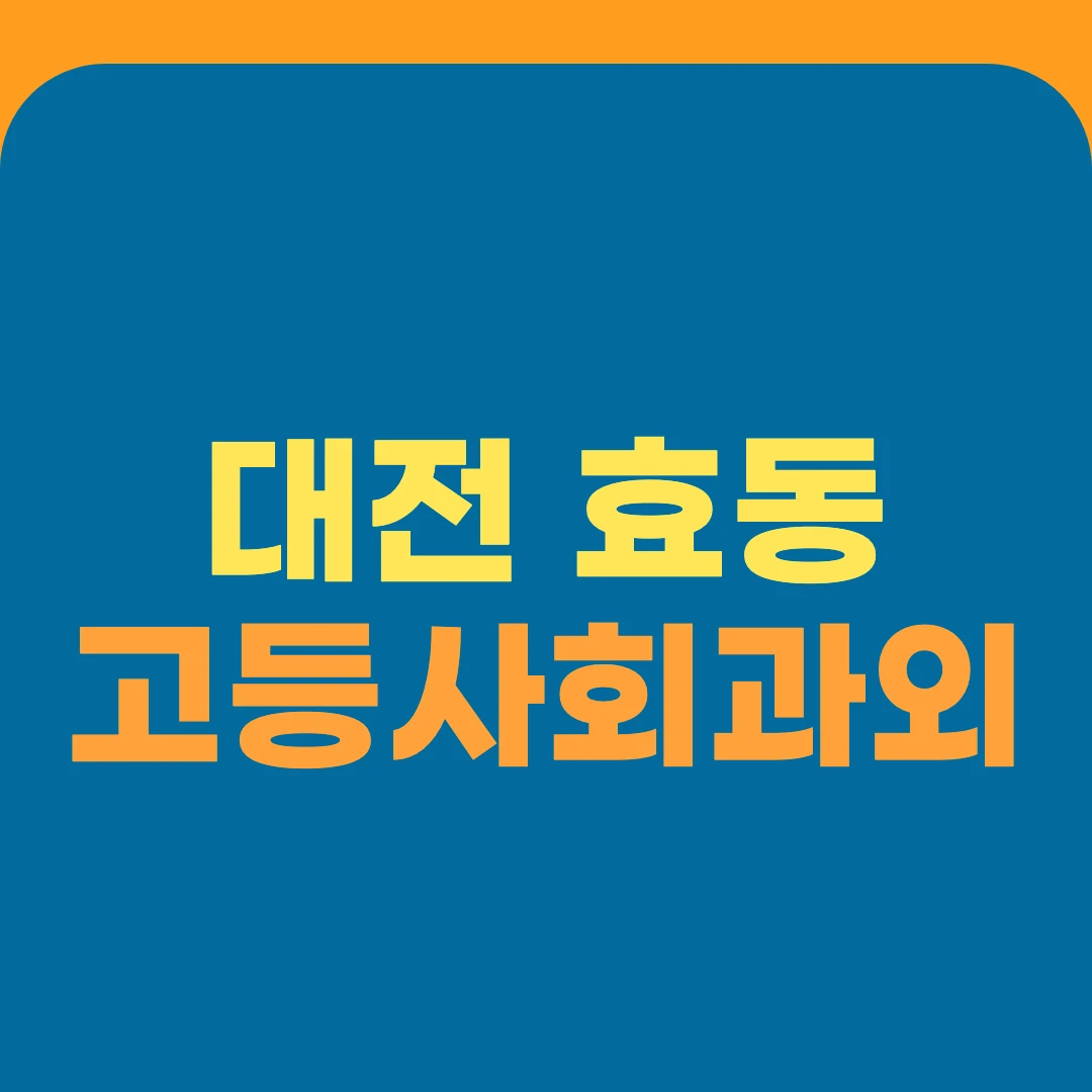 대전 효동 고등사회과외
