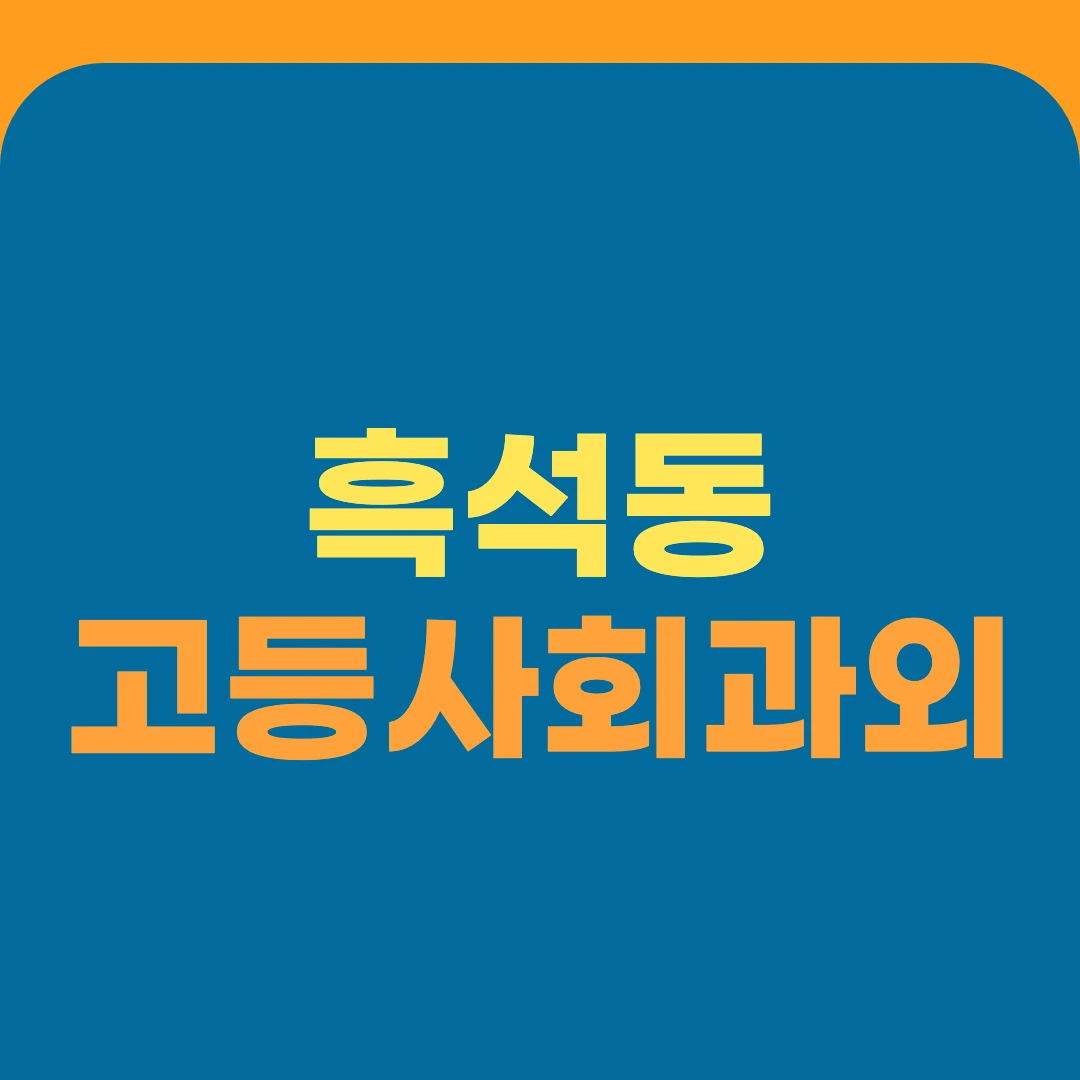 흑석동 고등사회과외