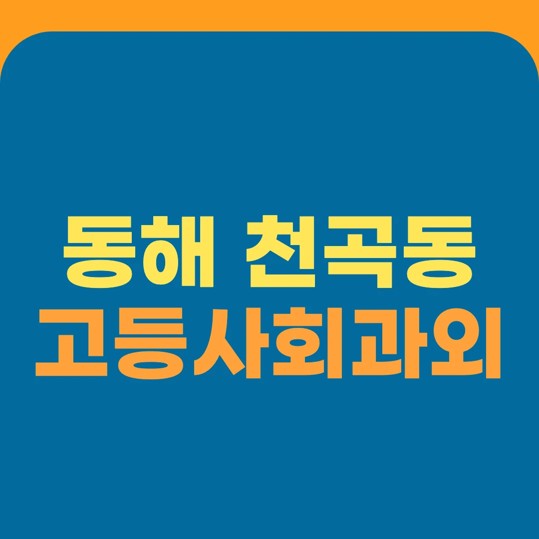 동해 천곡동 고등사회과외