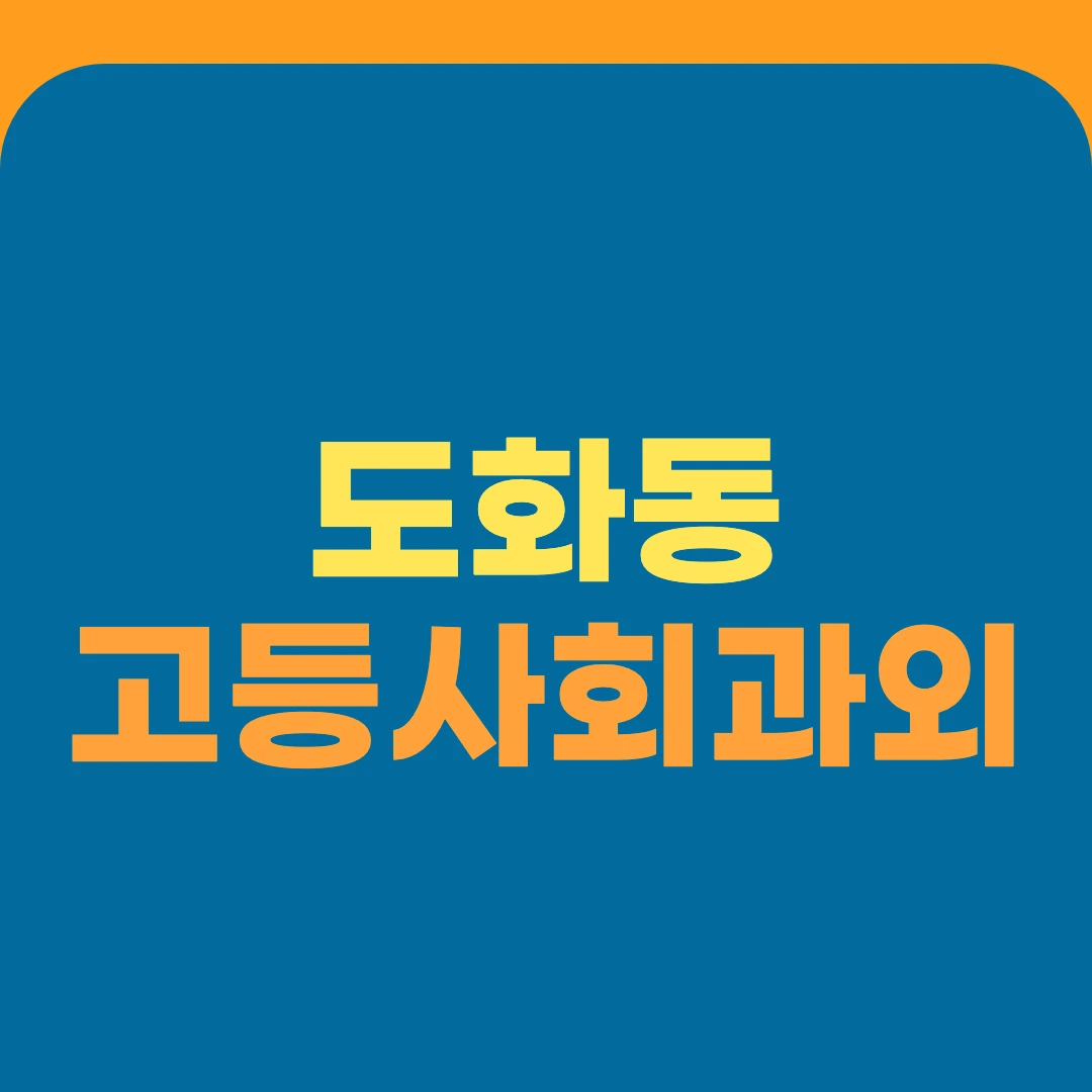 도화동 고등사회과외