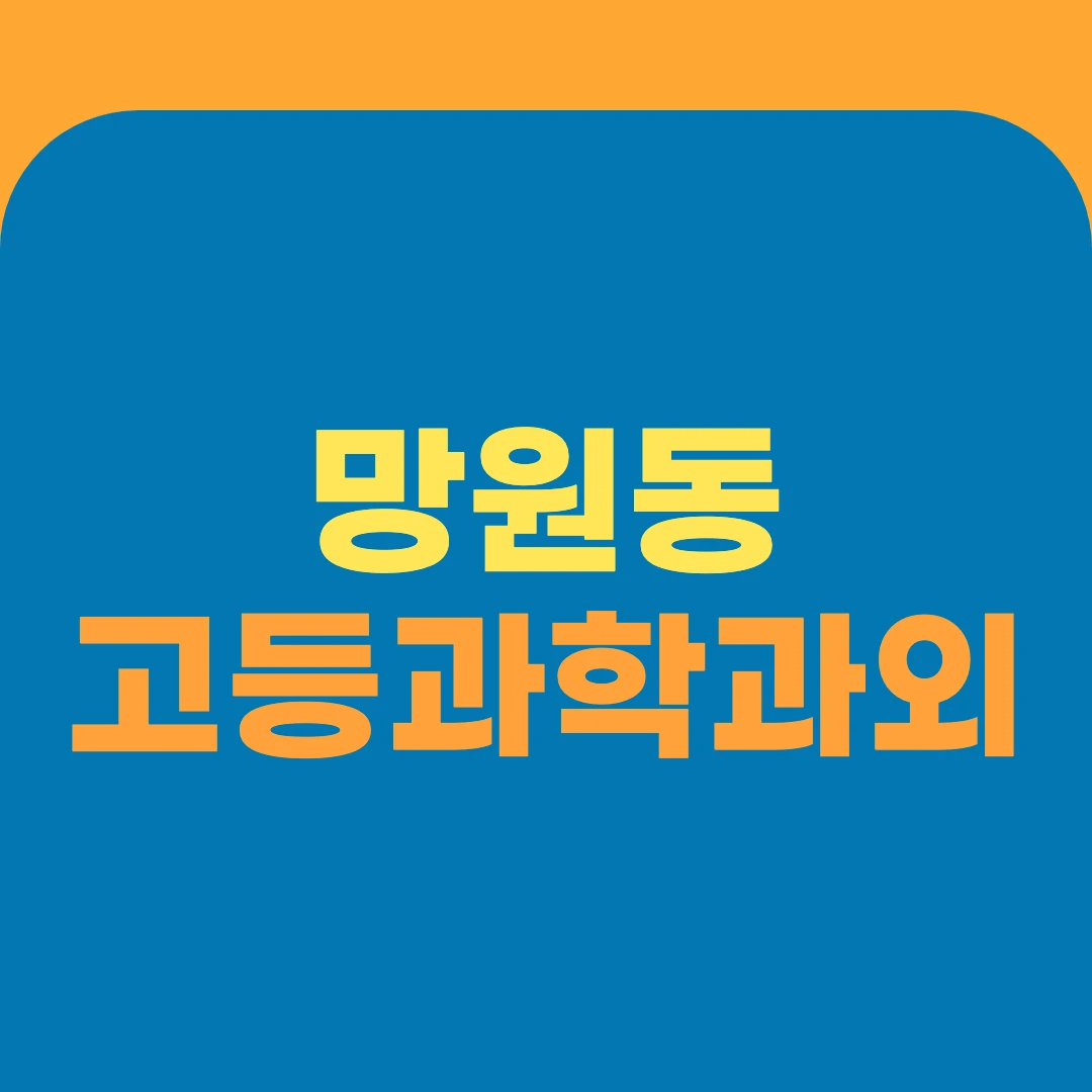 망원동 고등과학과외