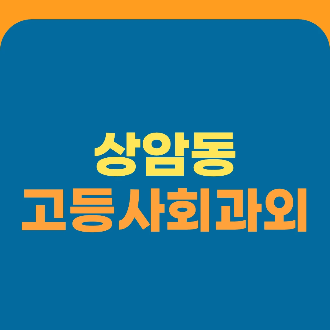상암동 고등사회과외
