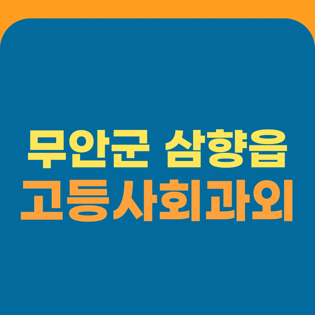 무안군 삼향읍 고등사회과외