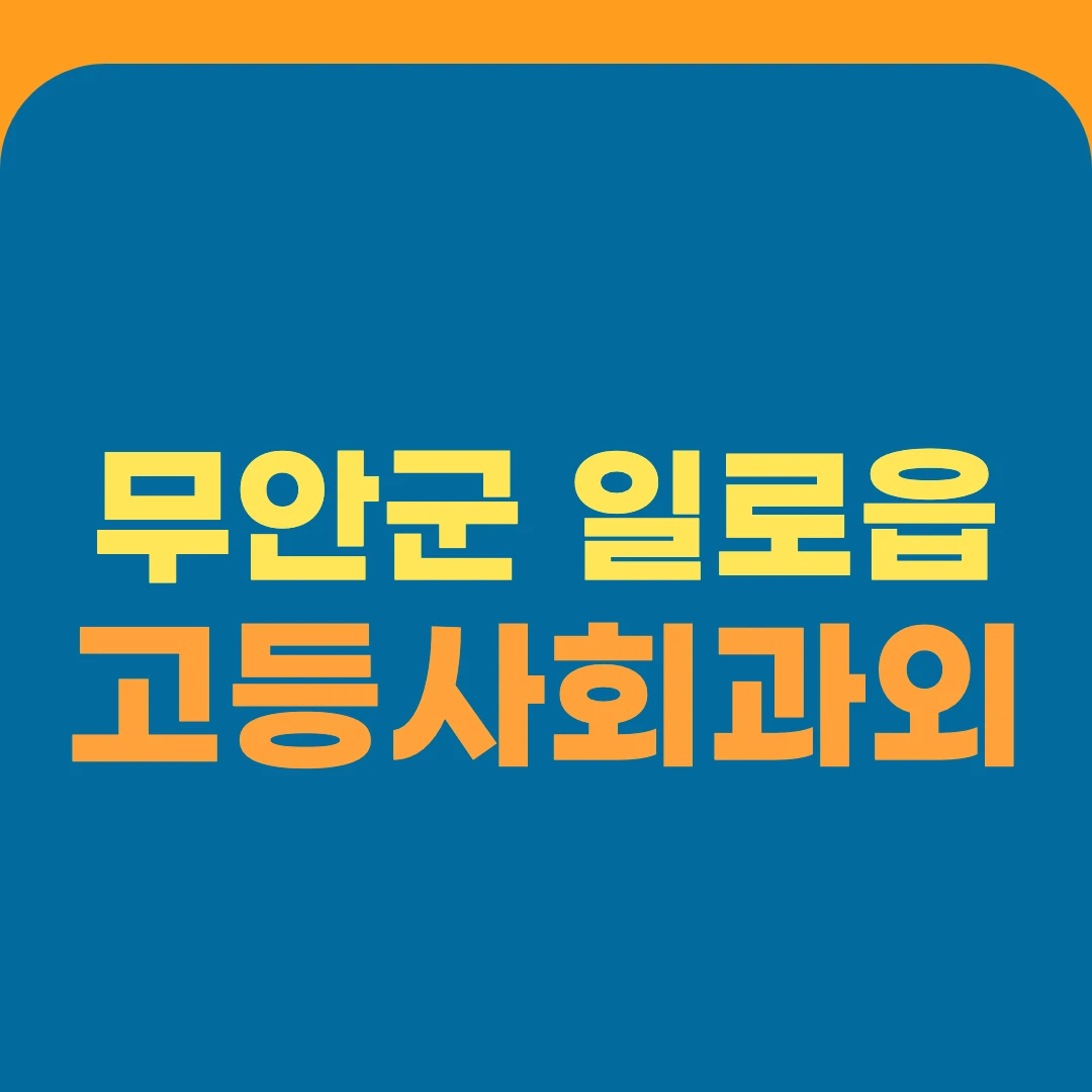 무안군 일로읍 고등사회과외
