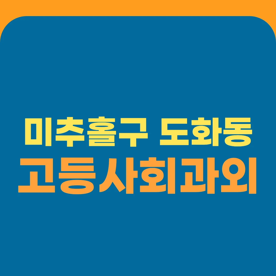 미추홀구 도화동 고등사회과외