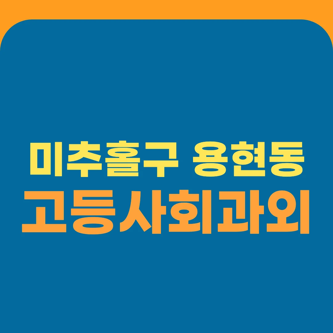 미추홀구 용현동 고등사회과외