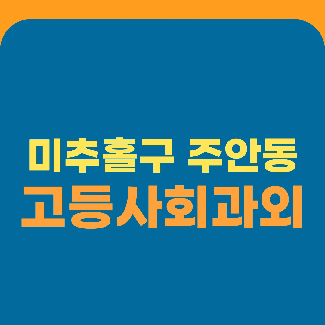 미추홀구 주안동 고등사회과외