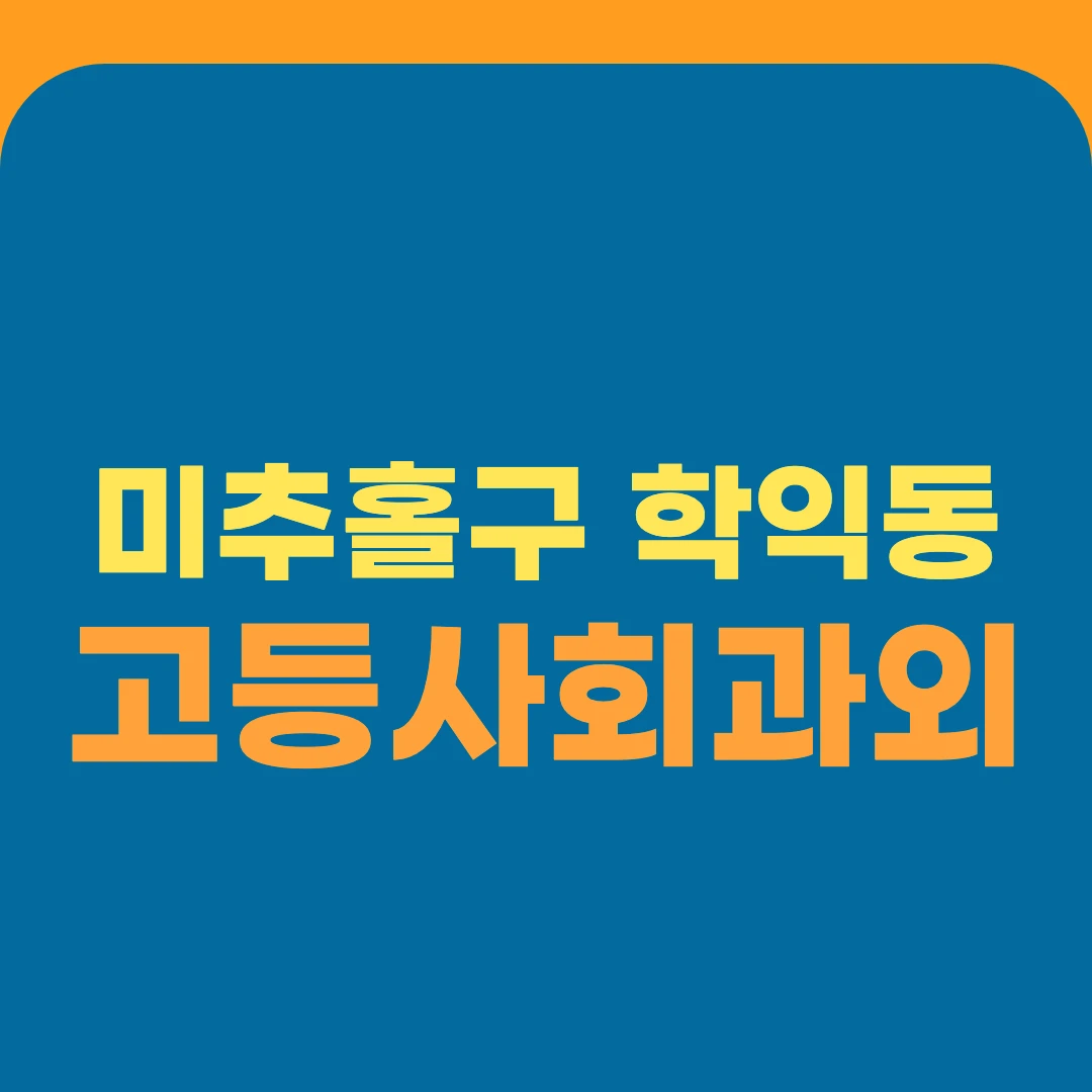 미추홀구 학익동 고등사회과외