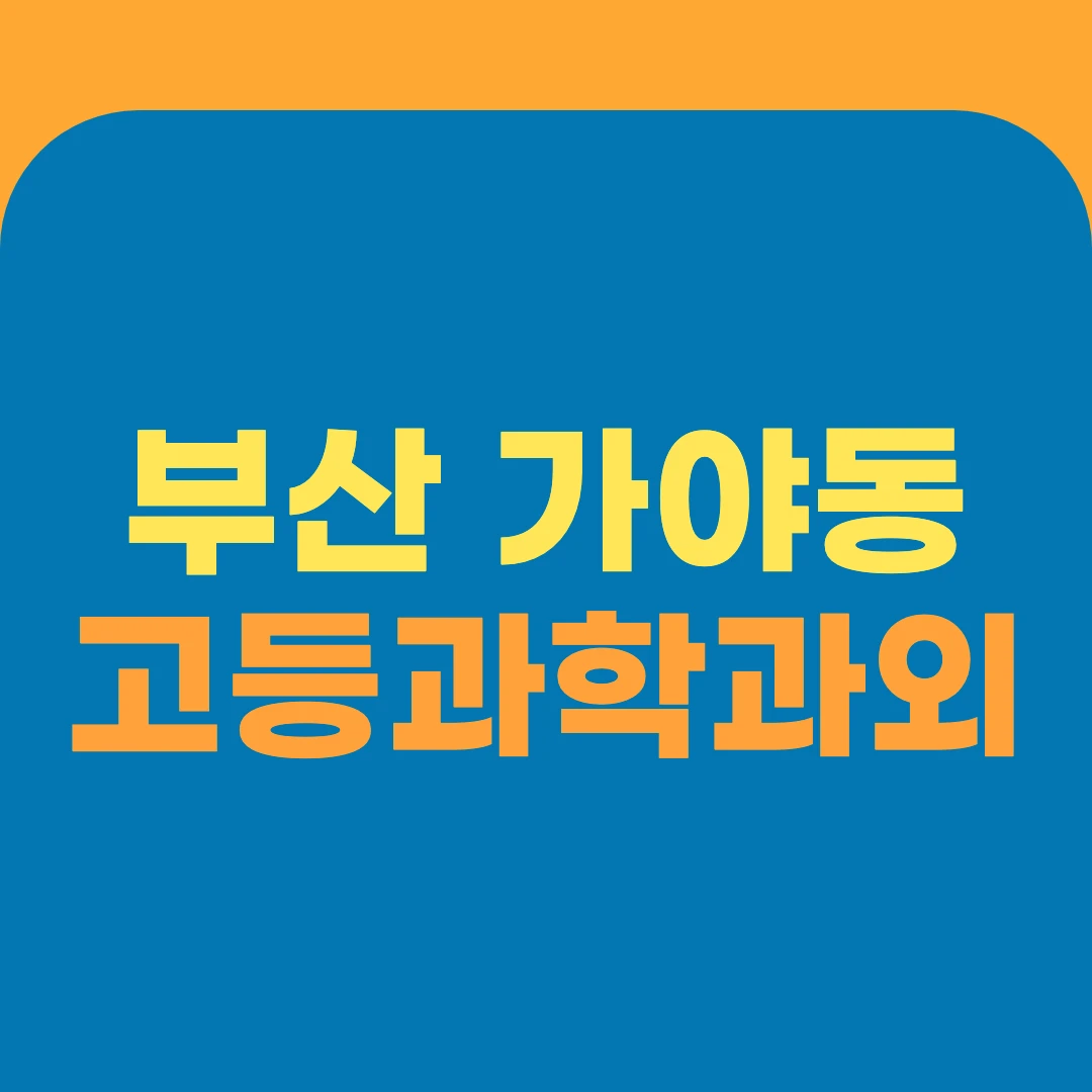 부산 가야동 고등과학과외