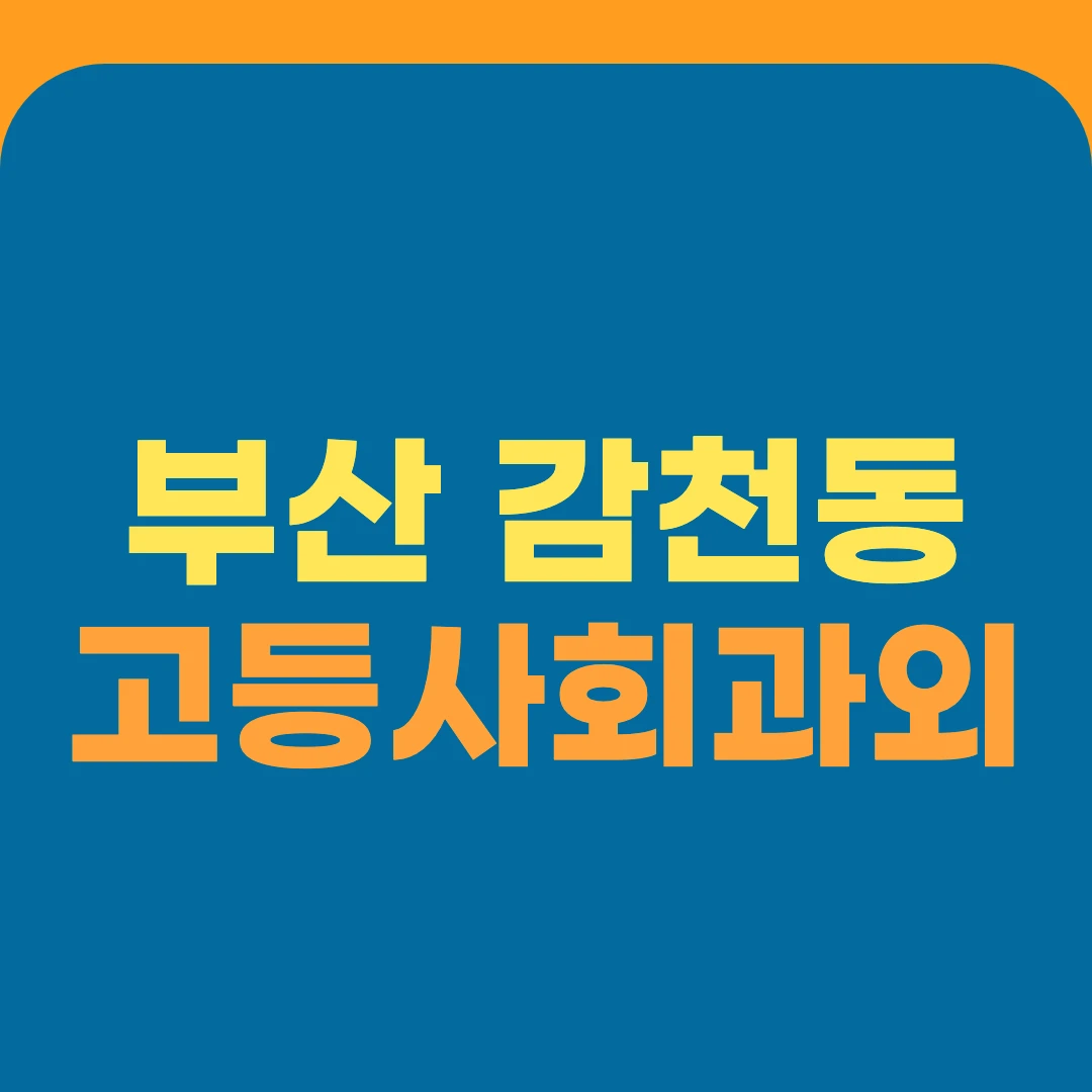 부산 감천동 고등사회과외