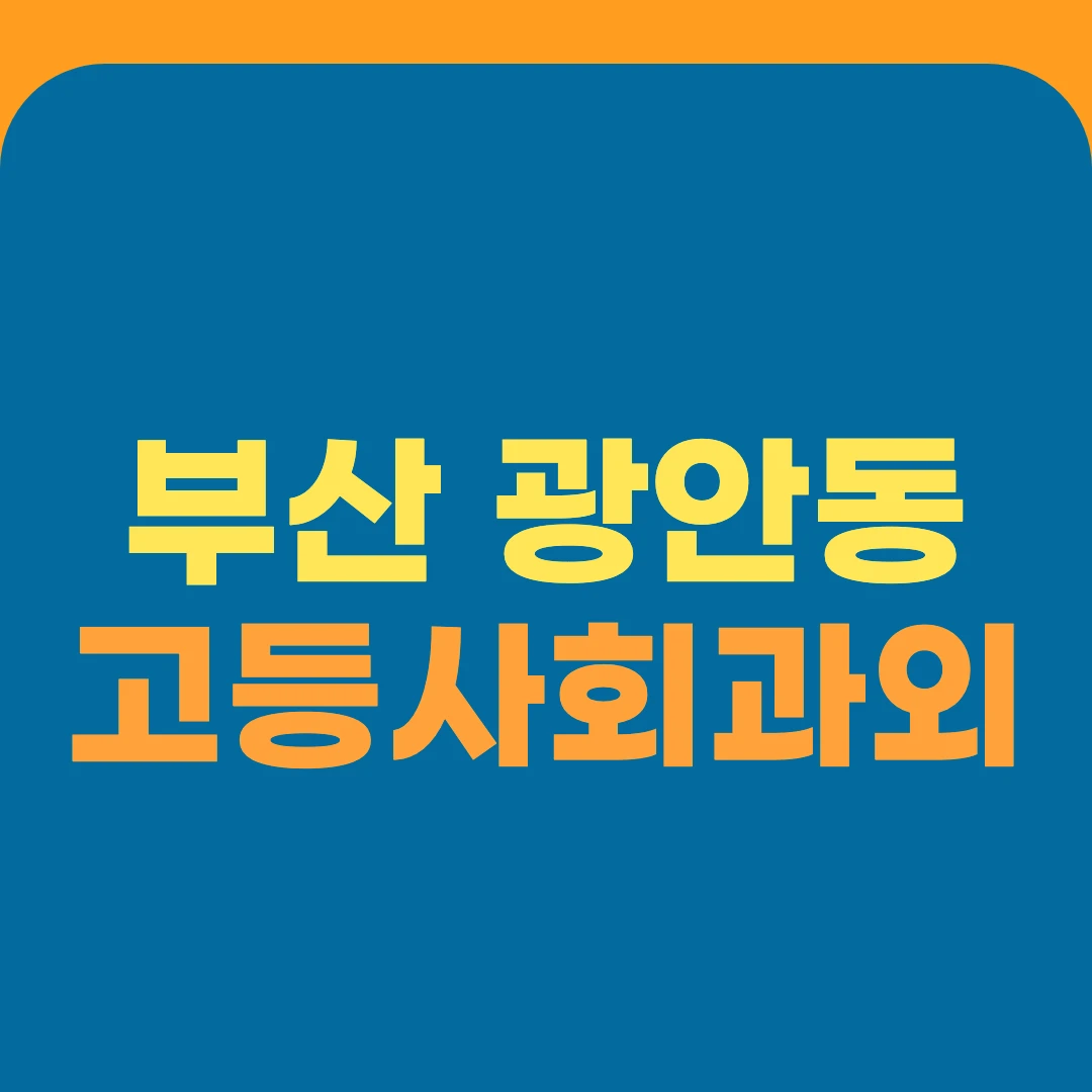부산 광안동 고등사회과외
