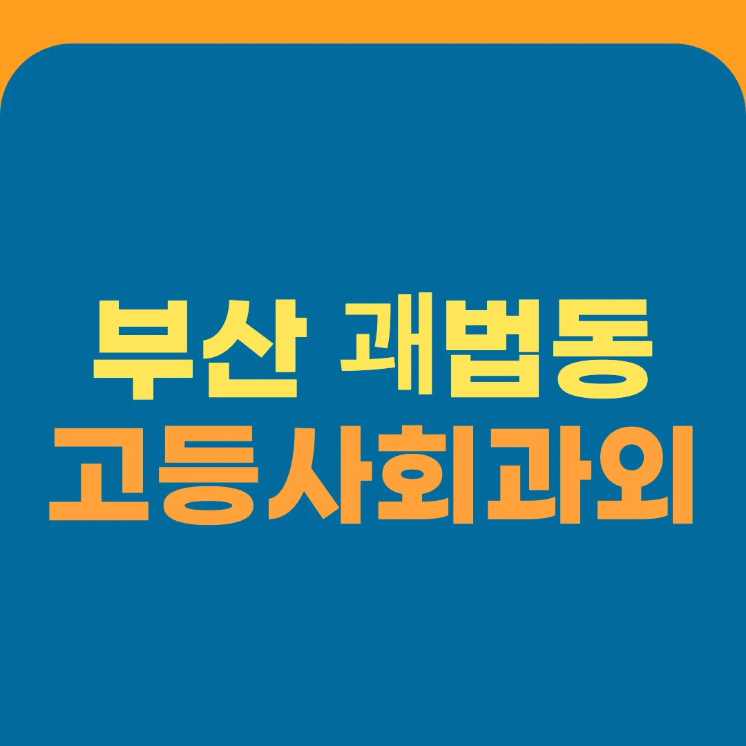 부산 괘법동 고등사회과외
