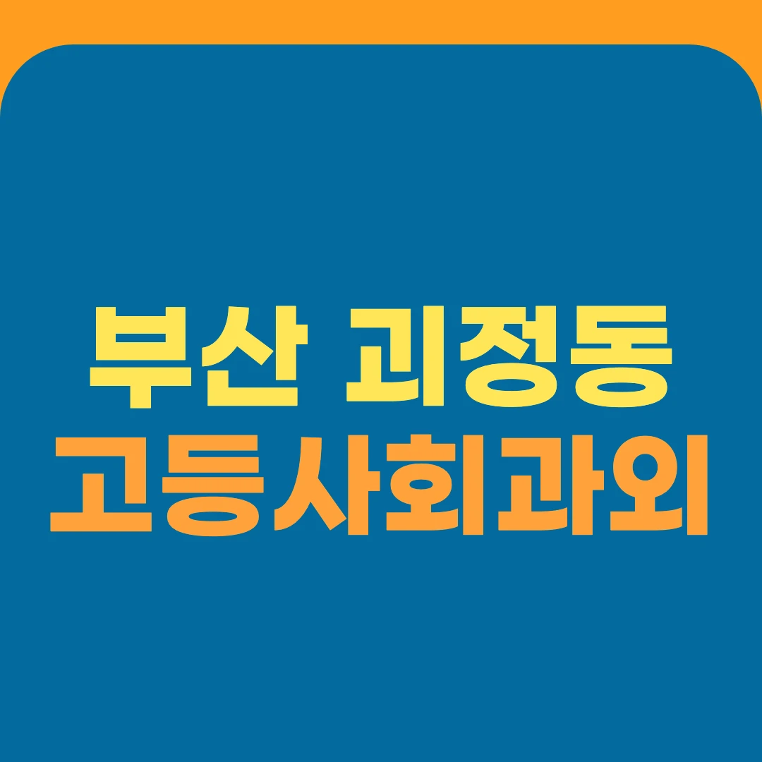 부산 괴정동 고등사회과외