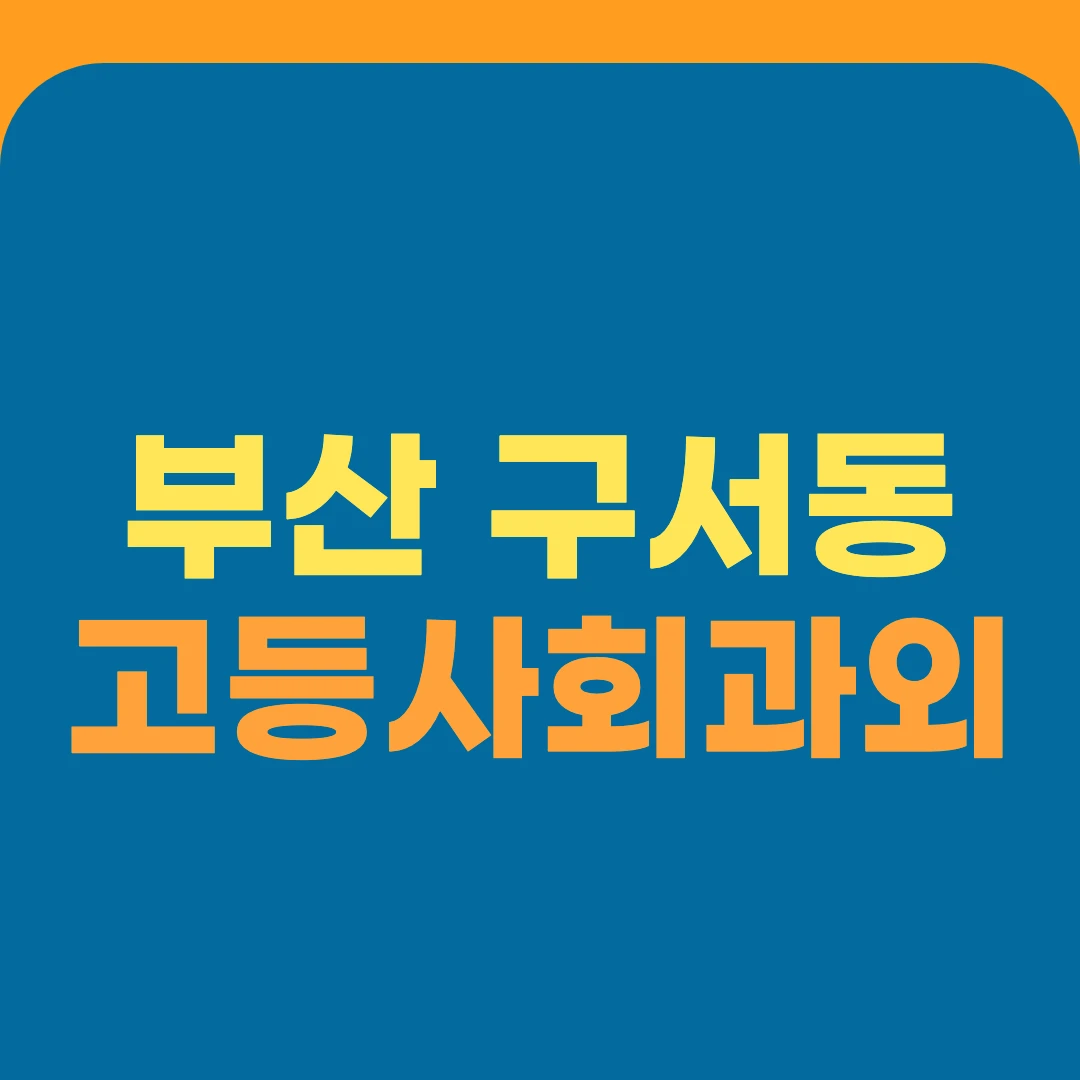부산 구서동 고등사회과외