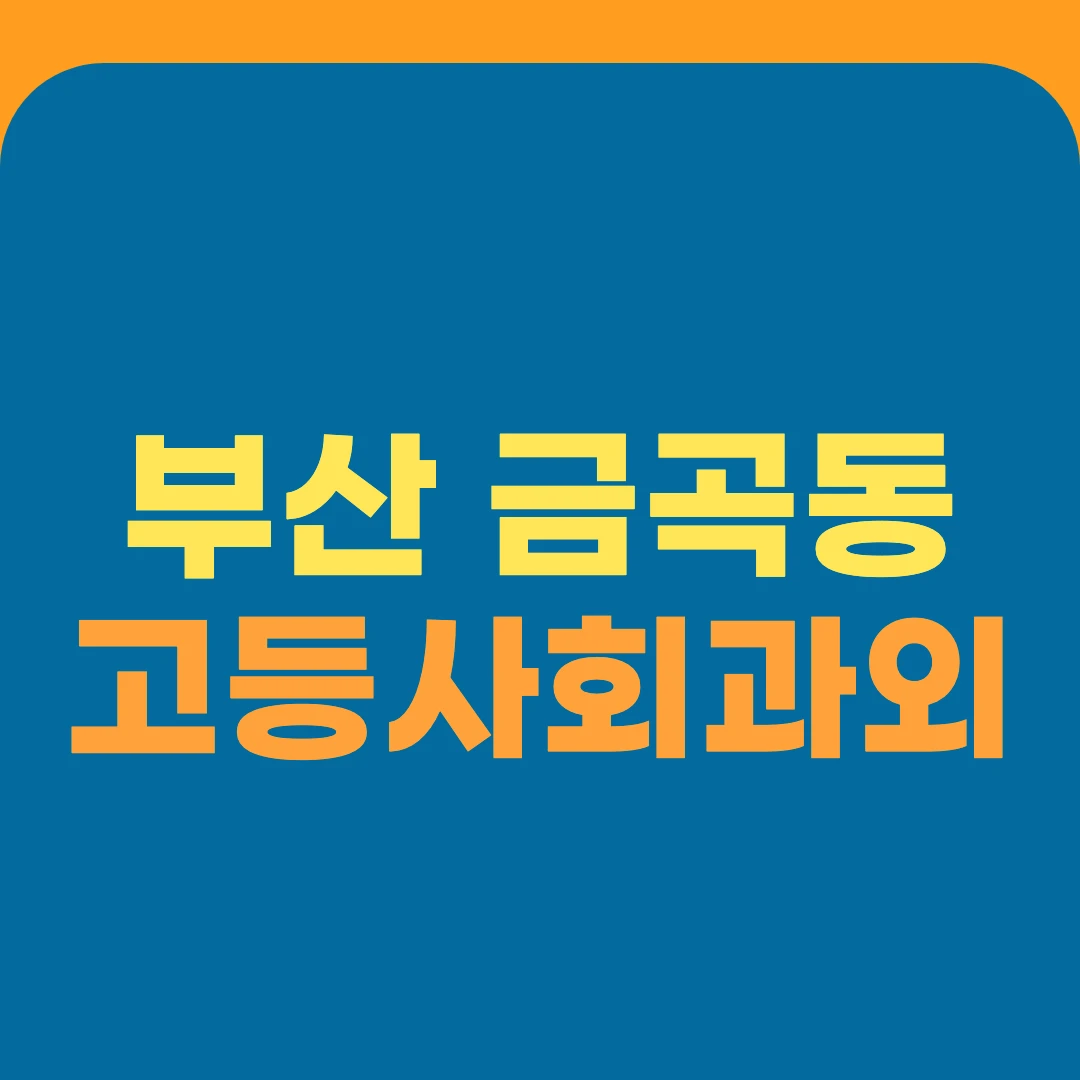 부산 금곡동 고등사회과외