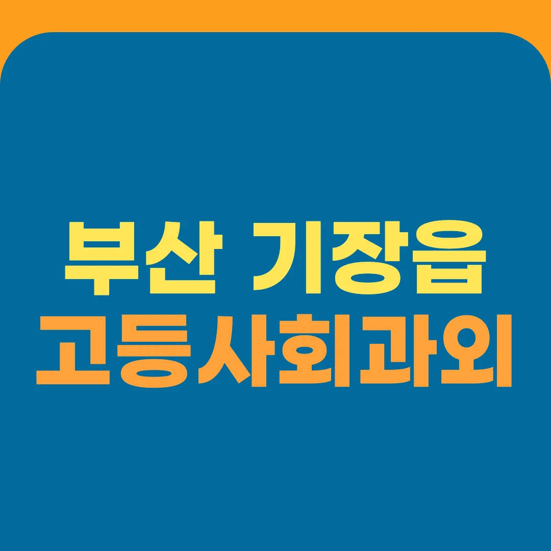 부산 기장읍 고등사회과외