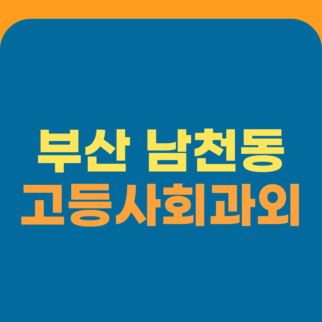 부산 남천동 고등사회과외