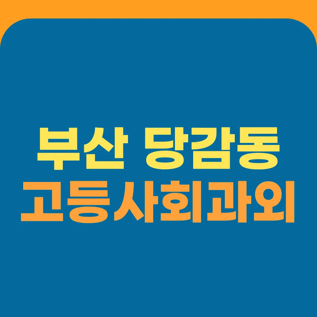 부산 당감동 고등사회과외