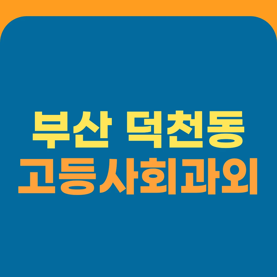 부산 덕천동 고등사회과외