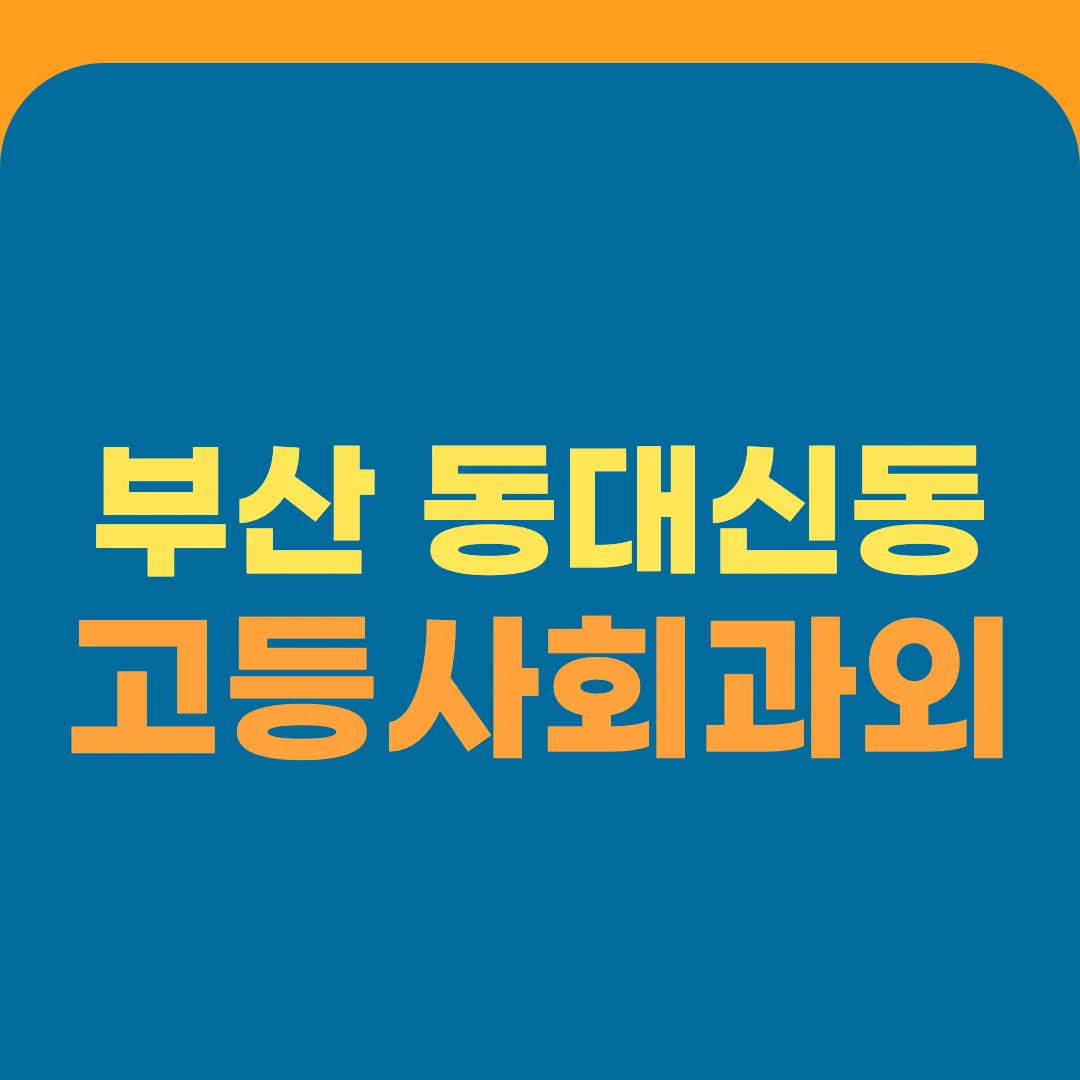 부산 동대신동 고등사회과외