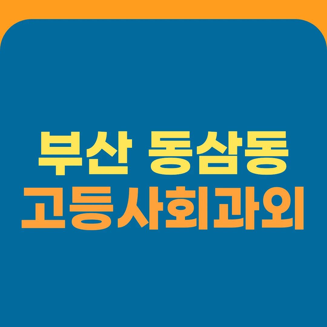 부산 동삼동 고등사회과외