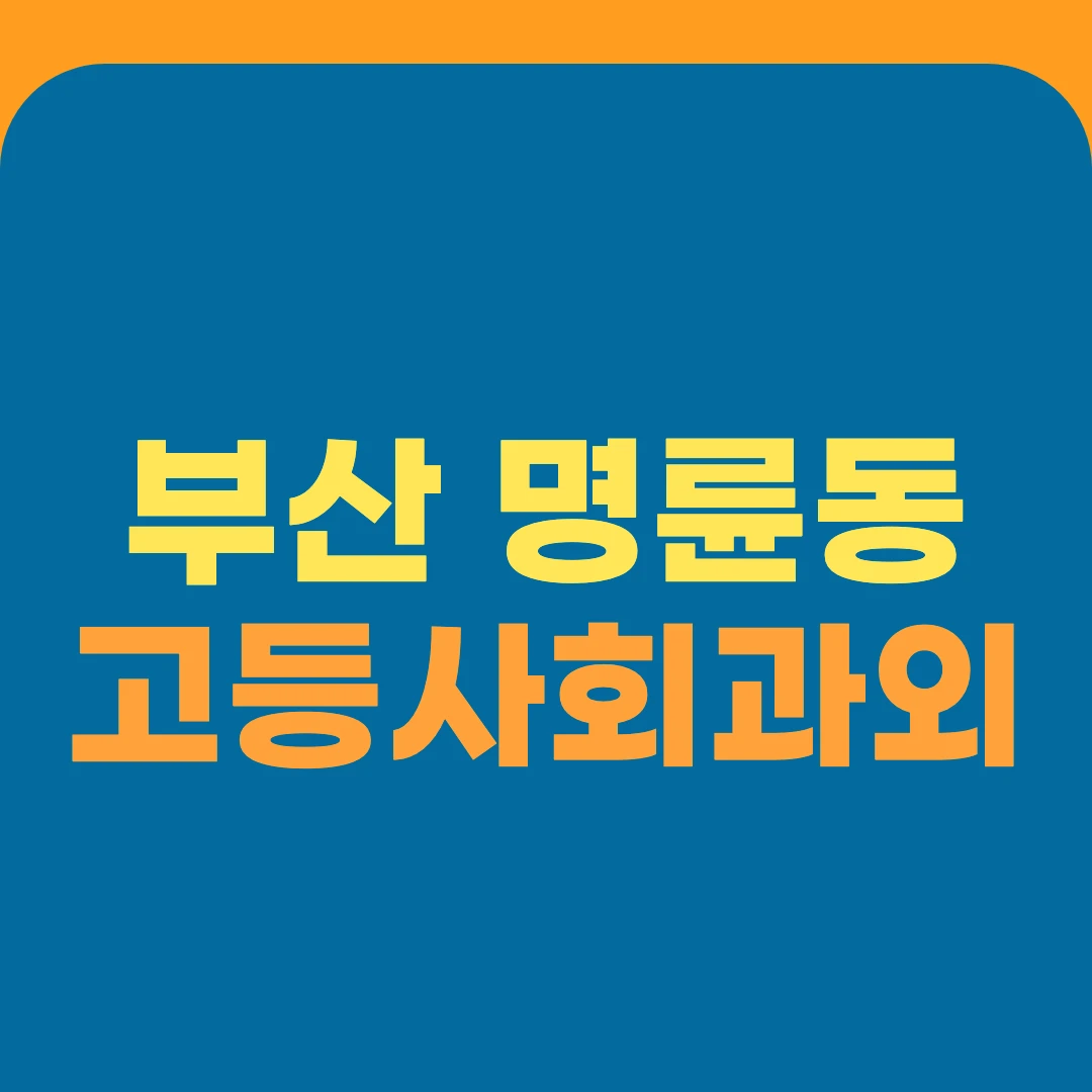 부산 명륜동 고등사회과외