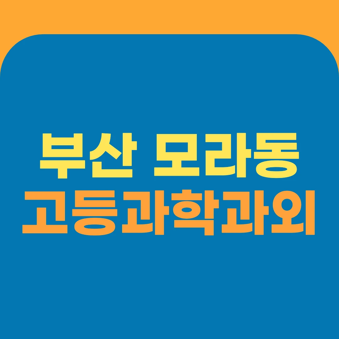 부산 모라동 고등과학과외