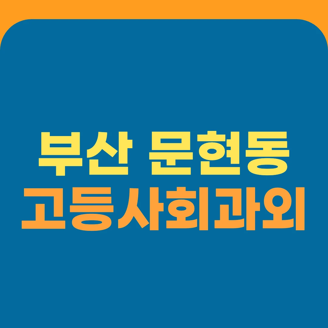 부산 문현동 고등사회과외