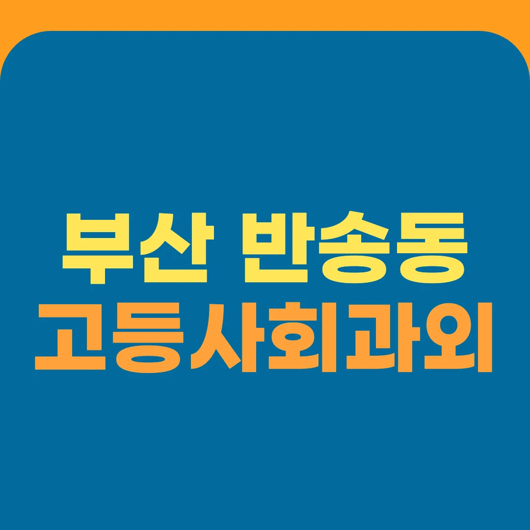 부산 반송동 고등사회과외