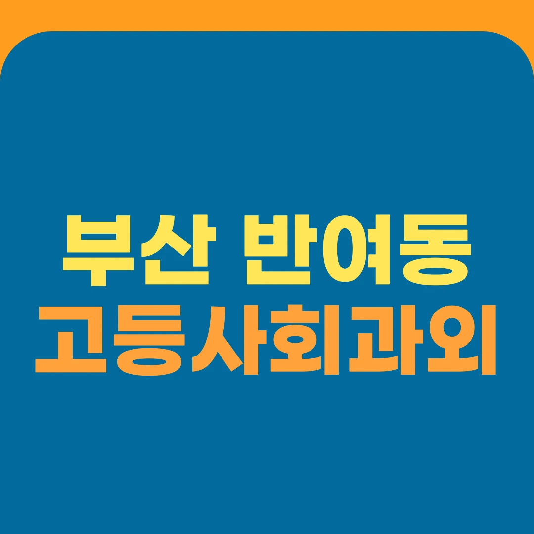 부산 반여동 고등사회과외