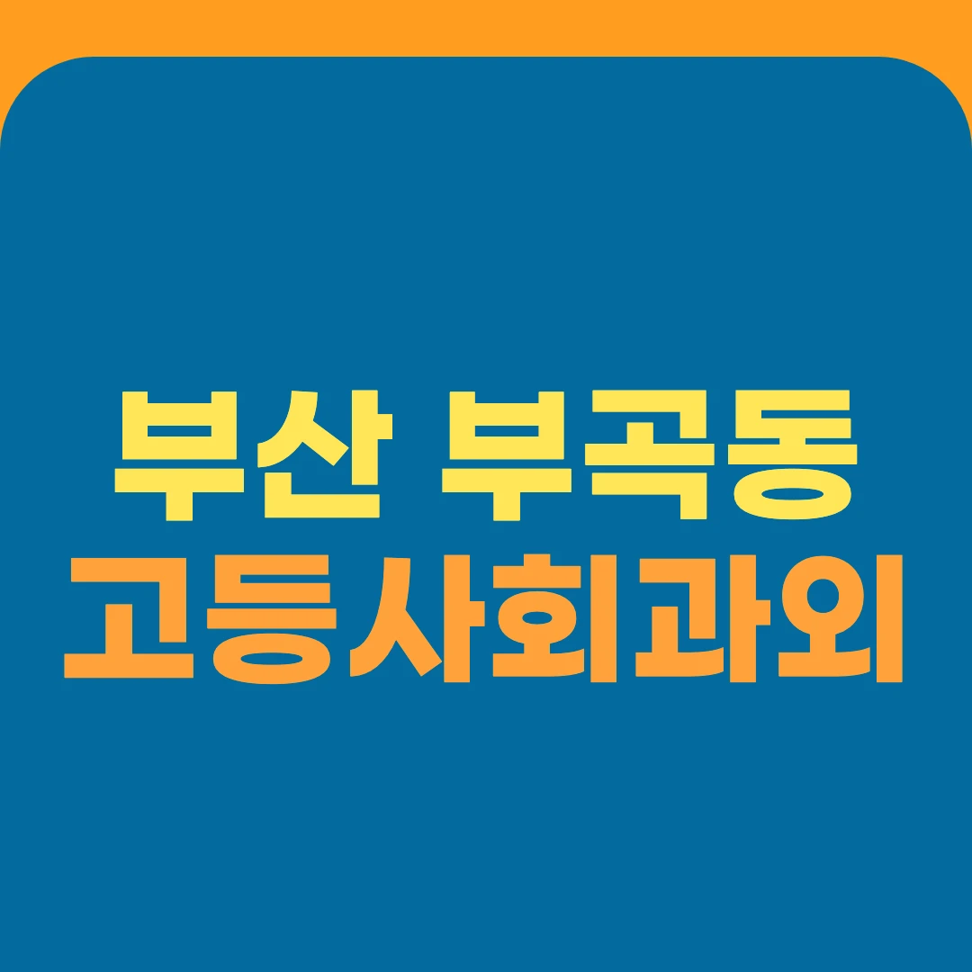 부산 부곡동 고등사회과외