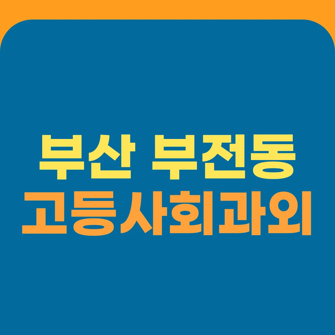부산 부전동 고등사회과외