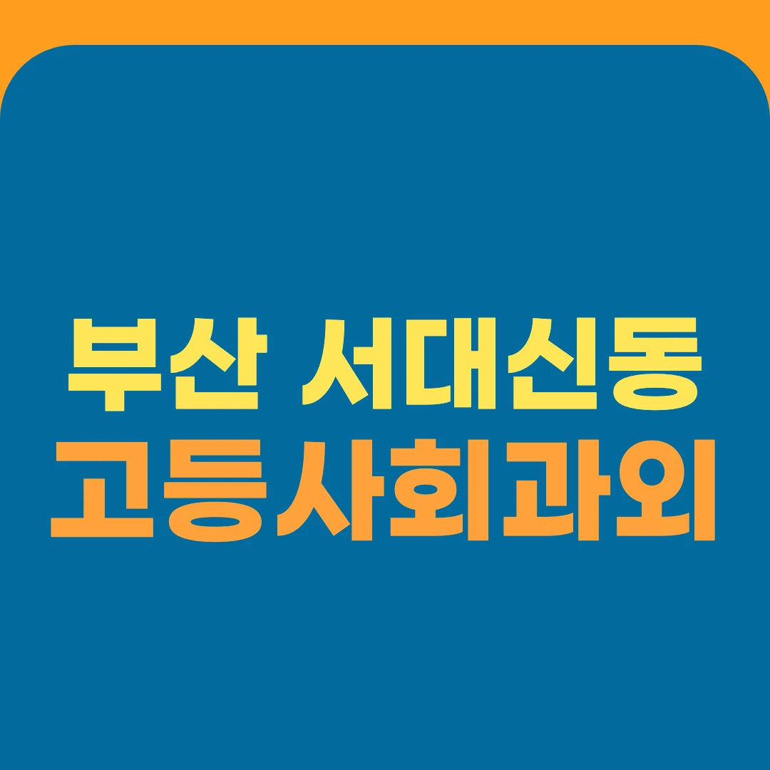 부산 서대신동 고등사회과외