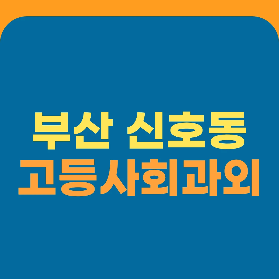 부산 신호동 고등사회과외