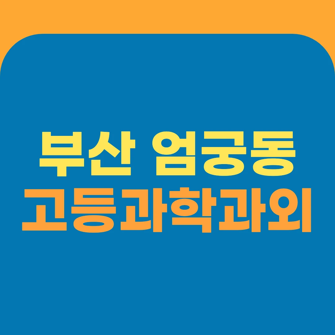 부산 엄궁동 고등과학과외